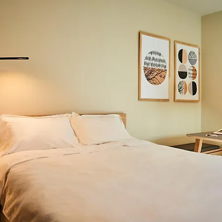 Numad * San Sebastián