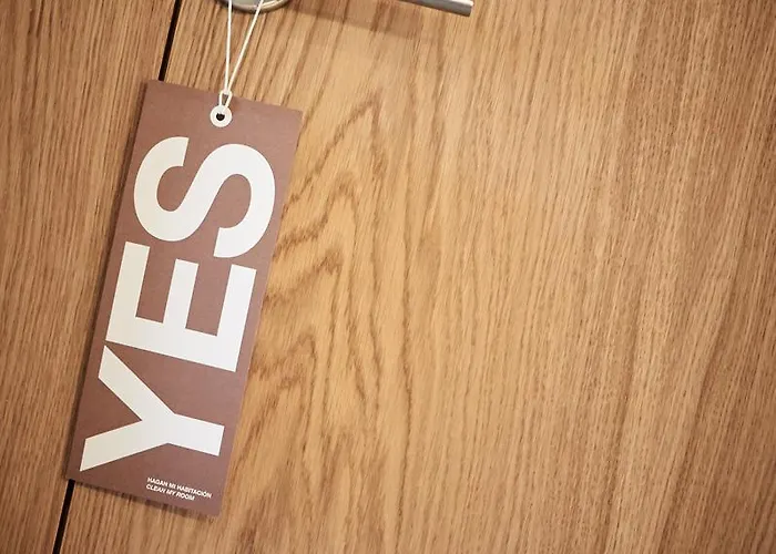 Numad * San Sebastian